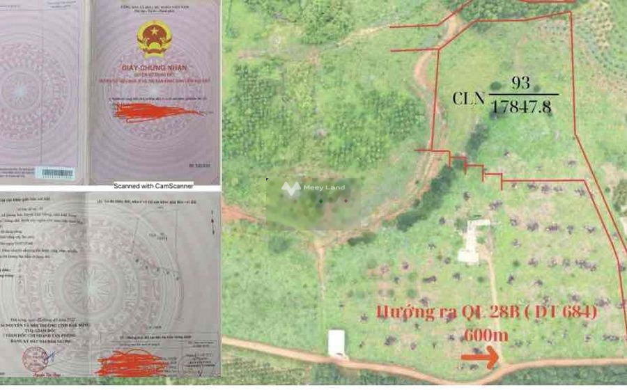 Giá 900 triệu bán đất tổng diện tích 17848m2 vị trí đẹp tọa lạc trên Đăk Glong, Đắk Nông-01