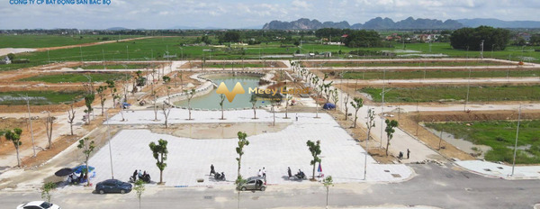 Bán đất dt thực 90 m2 ngay tại Phường Đông Sơn, Thanh Hóa-03