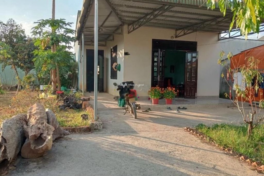 Diện tích 660m2 bán nhà ở vị trí đẹp ở Đại Lào, Bảo Lộc nhà này có 2 PN 1 WC chính chủ đăng tin-01