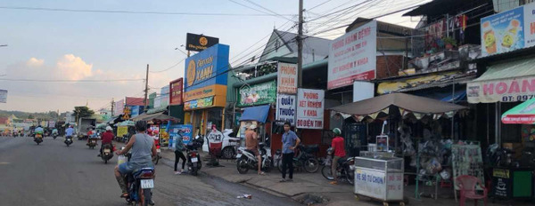 Bán đất tại Chơn Thành, Bình Phước. Diện tích 2050m2-02