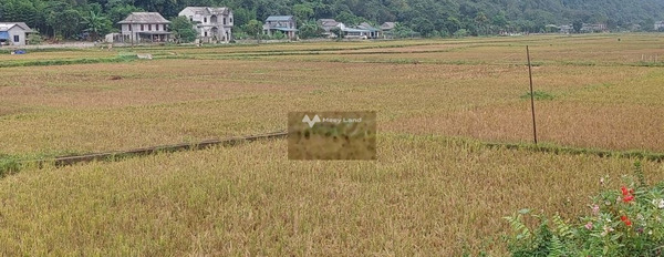Khoảng 500 triệu bán đất có một diện tích sàn 600m2 tọa lạc trên Phú Cường, Tân Lạc-03