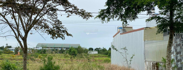 Bán đất tại Bảo Lộc, Lâm Đồng. Diện tích 106m2-02