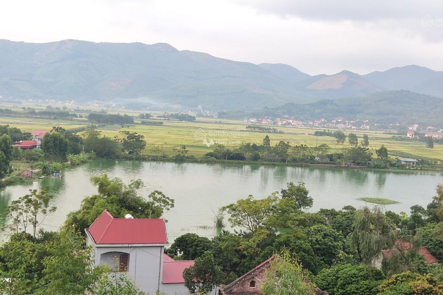 Khoảng 300 triệu bán đất có diện tích 220m2 vị trí thuận lợi tại Quốc Lộ 37, Bắc Giang-01