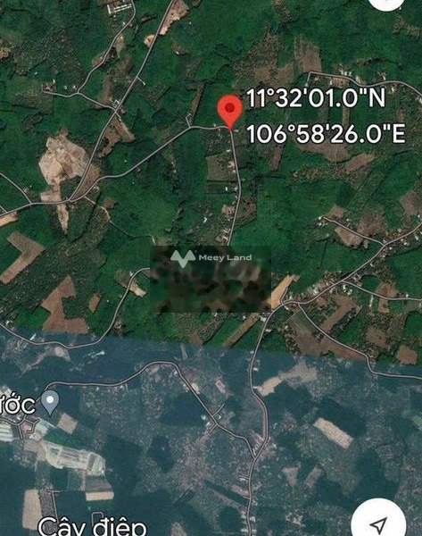 350 triệu bán đất diện tích rất rộng 260m2 tọa lạc ngay Tân Phước, Bình Phước, hướng Đông-01
