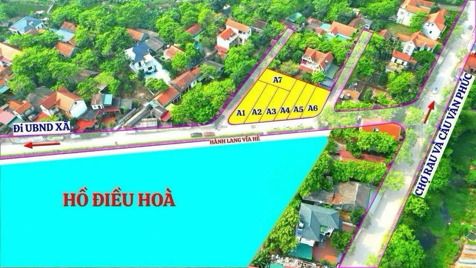 Bán đất huyện Yên Lạc tỉnh Vĩnh Phúc giá 800.0 triệu-2