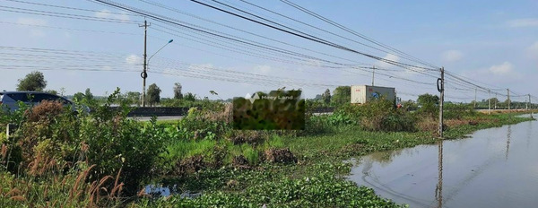 Bến Cầu, Tây Ninh bán đất giá bán quy định chỉ 41 tỷ diện tích là 19110m2-02