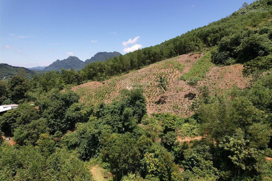 Nằm ngay bên trong Kim Bôi, Hòa Bình bán đất, giá không trung gian 12 tỷ diện tích tầm trung 400000m2-01