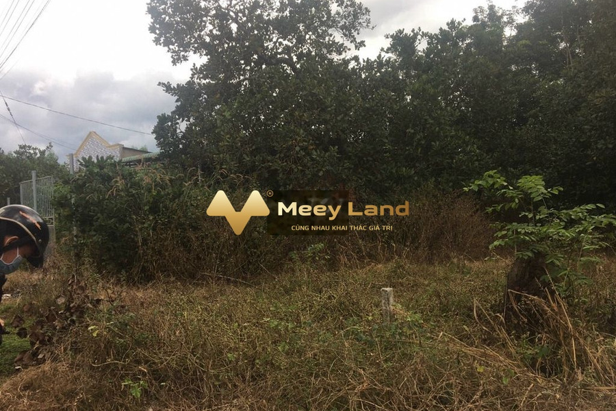Giá bán sang tên chỉ 450 triệu bán đất diện tích khoảng 100 m2 vị trí đặt tọa lạc ngay ở Phước Bình, Long Thành-01