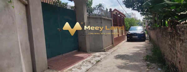 Cắt lỗ bán nhà vị trí thuận lợi tọa lạc ngay ở Mê Linh, Hà Nội vào ở ngay giá chốt nhanh chỉ 5.28 tỷ dt 352 m2 giá tốt nhất-02