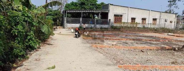 Nguyễn Hoàng, Đồng Nai 199 triệu bán đất, hướng Nam diện tích rộng lớn 100m2-02