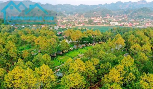 Bán đất 3.5 tỷ Mộc Châu, Sơn La toàn bộ khu vực có diện tích 2000m2-01