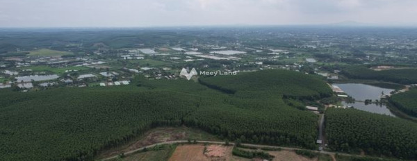 Giá 148.5 tỷ bán đất diện tích quy đổi 110000m2 vị trí tốt đặt nằm ngay Vĩnh Cửu, Đồng Nai-02
