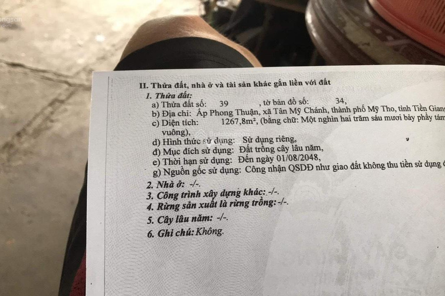 Vị trí đặt tại Tân Mỹ Chánh, Mỹ Tho bán đất, giá công khai 2.68 tỷ, hướng Tây - Nam toàn bộ khu vực có diện tích 2678m2-01