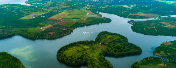 Lộc Quảng, Bảo Lâm bán đất giá bán cơ bản 1.37 tỷ, hướng Đông - Nam với diện tích là 2079m2-02