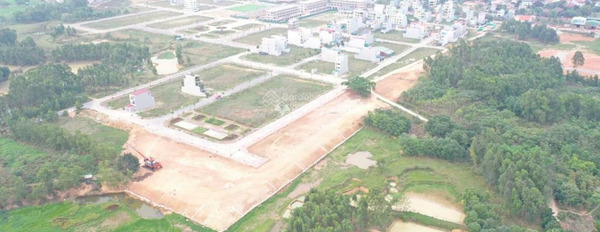 2.75 tỷ bán đất diện tích trong khoảng 125m2 vị trí đẹp tọa lạc ở Xuân Hòa, Vĩnh Phúc, hướng Đông - Bắc-02