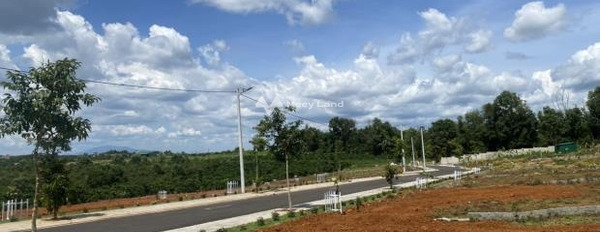Bảo Lộc, Lâm Đồng bán đất giá mong muốn chỉ 9.5 triệu diện tích khoảng là 200m2-02