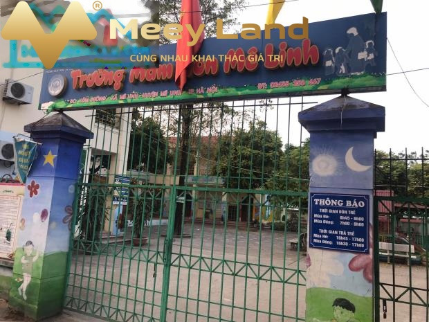 Chính chủ bán nhà 50m2, 2 tầng, ô tô đỗ cửa tại Mê Linh, Hà Nội-01