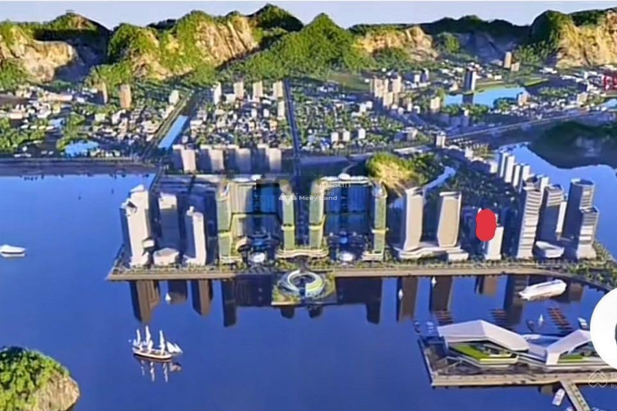 Bán đất 42 tỷ Vân Đồn, Quảng Ninh có diện tích gồm 1014m2-01