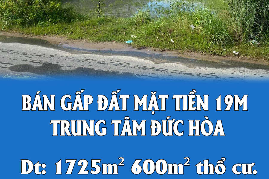 Hạ giá chính chủ bán gấp 1725m2 đất mặt tiền 19m trung tâm Đức Hòa-01