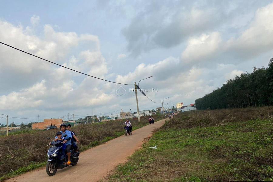 Phú Lộc, Đắk Lắk bán đất giá bán ưu đãi từ 668 triệu diện tích dài 132m2-01