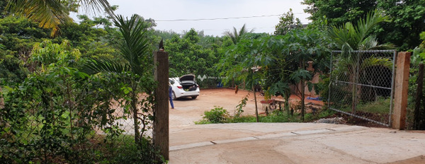 Bán nhà vườn 70m * 120m (7.137m2) gần thị trấn Lộc Ninh - Bình Phước -02