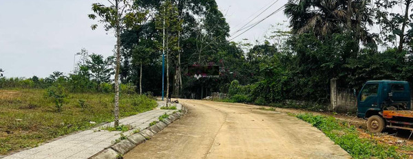 380 triệu bán đất với diện tích khoảng 100m2 vị trí ngay tại Thọ Sơn, Triệu Sơn-03
