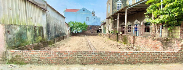 Chính chủ gửi bán lô đất siêu hiếm bìa làng 69m² tại xóm Ngõ Thôn Khê Nữ, Nguyên Khê, Đông Anh, Hà Nội-03