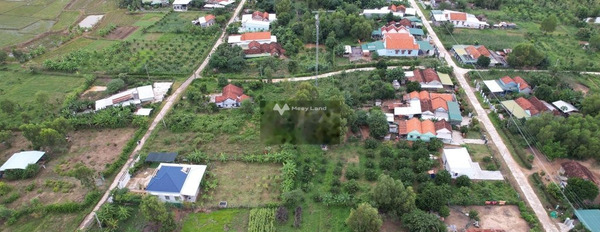 Giá bán siêu khủng 980 triệu bán đất với diện tích tiêu chuẩn 7999m2 nằm tại Ninh Hòa, Khánh Hòa, hướng Đông Nam-03