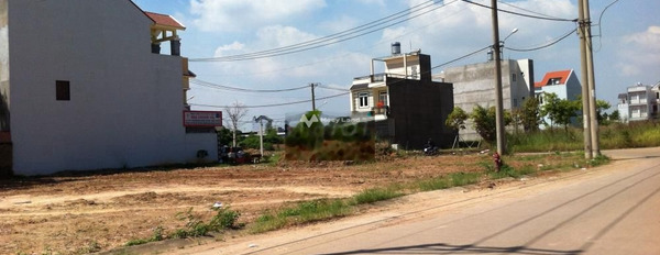 Bán mảnh đất 135m2 tọa lạc ngay Bình Sơn, Đồng Nai-03