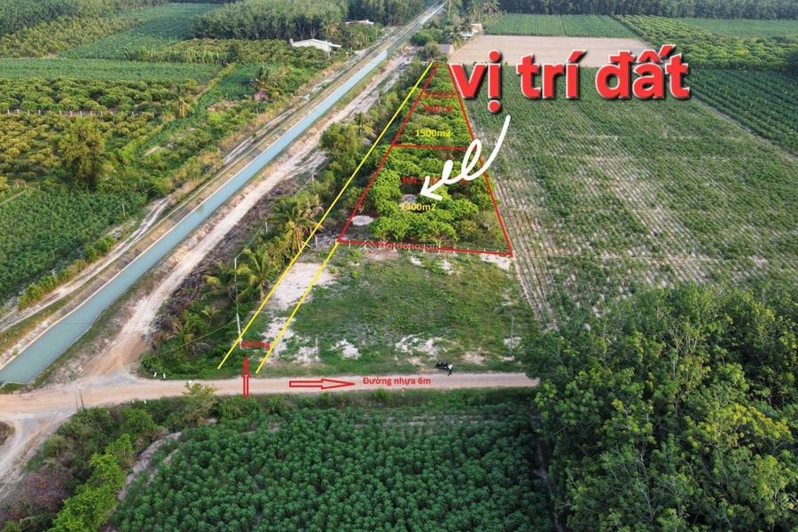 Đất lập vườn siêu rẻ tại Cẩm Giang, Gò Dầu, Tây Ninh -01