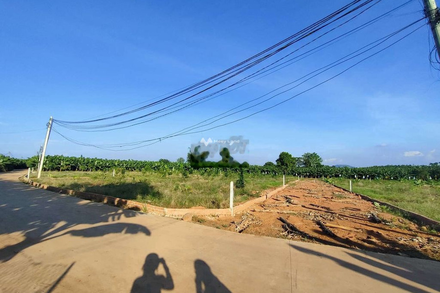 Giá bán bất ngờ từ 1.33 tỷ bán đất diện tích thực 1005m2 vị trí đẹp tọa lạc gần Sông Thao, Đồng Nai-01