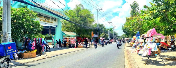 Cho Thuê 2 Căn Nhà 1 Trệt 1 Lầu Lộ Nhựa Gần Cầu Trần Hoàng Na 2,5Km -02