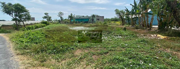 Mạc Văn Thành, Tân Đông bán đất giá bán cạnh tranh chỉ 1.5 tỷ diện tích khoảng 926m2-03
