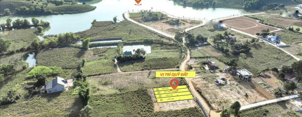 Bán đất 220 triệu Thạch Thành, Thanh Hóa có diện tích sàn 180m2-03