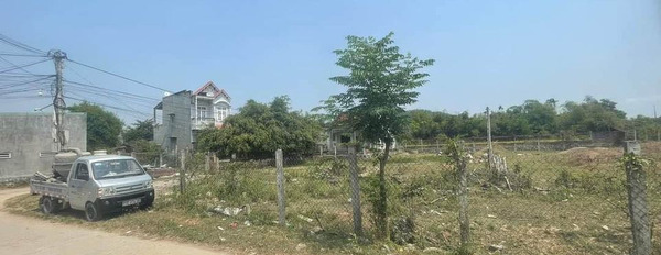 Cần bán nhà riêng huyện Tuy Phước, Bình Định, giá 4 tỷ-03