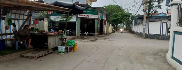Chính chủ bán lô góc 2 mặt tiền, thị trấn Quang Minh, Mê Linh, DT 123,6m2, gần chợ, trường học -02