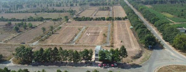 Nằm tại Huỳnh Thúc Kháng, Đồng Nai bán đất 2.02 tỷ diện tích chung quy 90m2-03