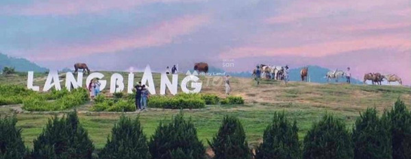 Tại Lạc Dương, Lâm Đồng bán đất 500 triệu diện tích quy đổi 1000m2-03