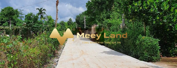 Giá phải chăng 480 triệu bán đất có dt thực là 160 m2 tọa lạc ở Xã Sơn Bình, Huyện Châu Đức-02