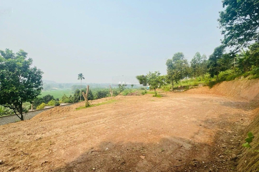 Vị trí mặt tiền tọa lạc gần Cư Yên, Hòa Bình bán đất có một diện tích sàn 1087m2-01