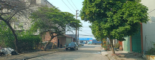 Cần bán đất huyện Quế Võ tỉnh Bắc Ninh giá 2.0 tỷ-02