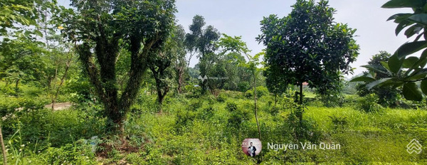 Bán đất Đồng Chanh, Liên Sơn diện tích quy ước 12327m2-02