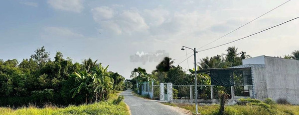Phú Quới, Vĩnh Long bán đất giá hấp dẫn từ 599 triệu, hướng Tây Bắc có diện tích thực 8999m2-02