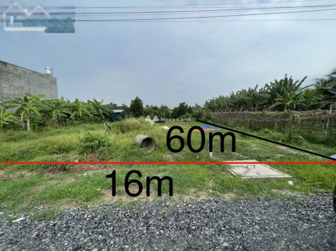Vị trí đẹp ngay ở Dương Minh Châu, Tây Ninh bán đất giá bán bàn giao chỉ 510 triệu diện tích thực khoảng 895m2, mặt lộ ngang 10 mét-01