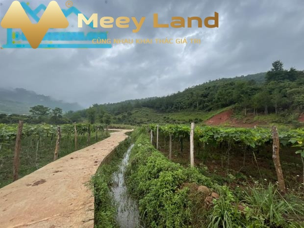 Nằm ngay Đường Hoàng Quốc Việt, Huyện Mộc Châu bán đất giá bán siêu tốt chỉ 3.46 tỷ với tổng diện tích 5444 m2-01