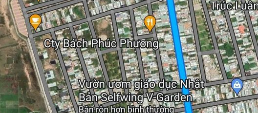 Cần bán đất quận Liên Chiểu Thành phố Đà Nẵng giá 3,78 tỷ-02