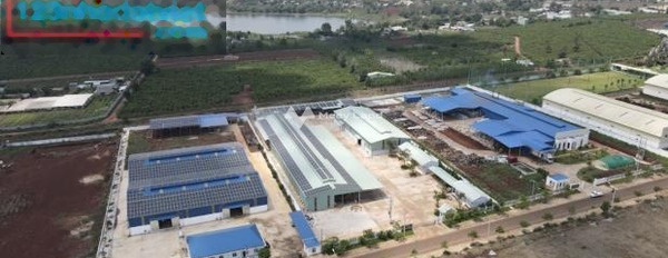 Vị trí nằm ngay Trà Đa, Gia Lai bán đất giá hữu nghị chỉ 530 triệu diện tích chính là 1250m2, đường chính 30 mét-03