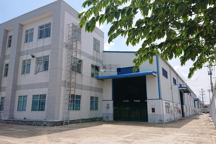 Cho thuê xưởng 13.000m2 (xd: 7500m2) KCN Phú An Thạnh. Có PCCC tự động, trạm hạ thế và văn phòng -01