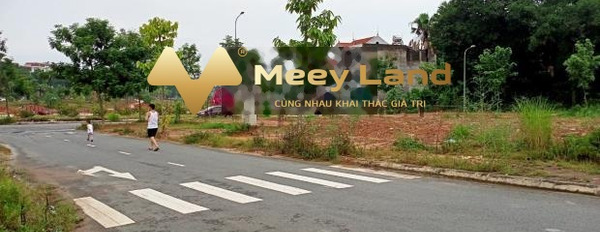 Vị trí ngay trên Gia Cẩm, Phú Thọ bán đất, giá siêu mềm 2.2 tỷ Diện tích đất 80 m2-03