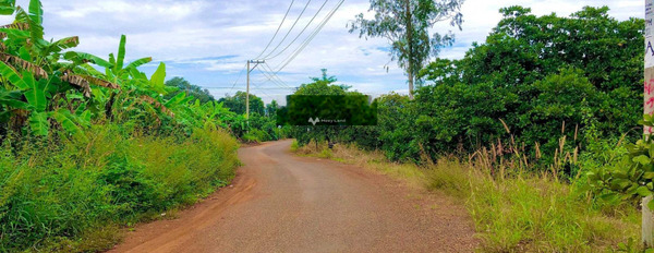 Bán mảnh đất, giá bán sang tên chỉ 2.6 tỷ có diện tích thực 1500m2-02